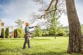 Trusted Amherst, VA Tree Removal Experts